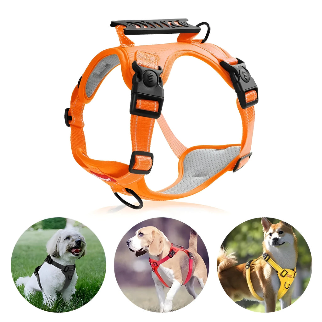Adjustable dog harness and lead set in various colours with chest strap design