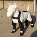 Black waterproof dog shoes with adjustable straps for paw protection