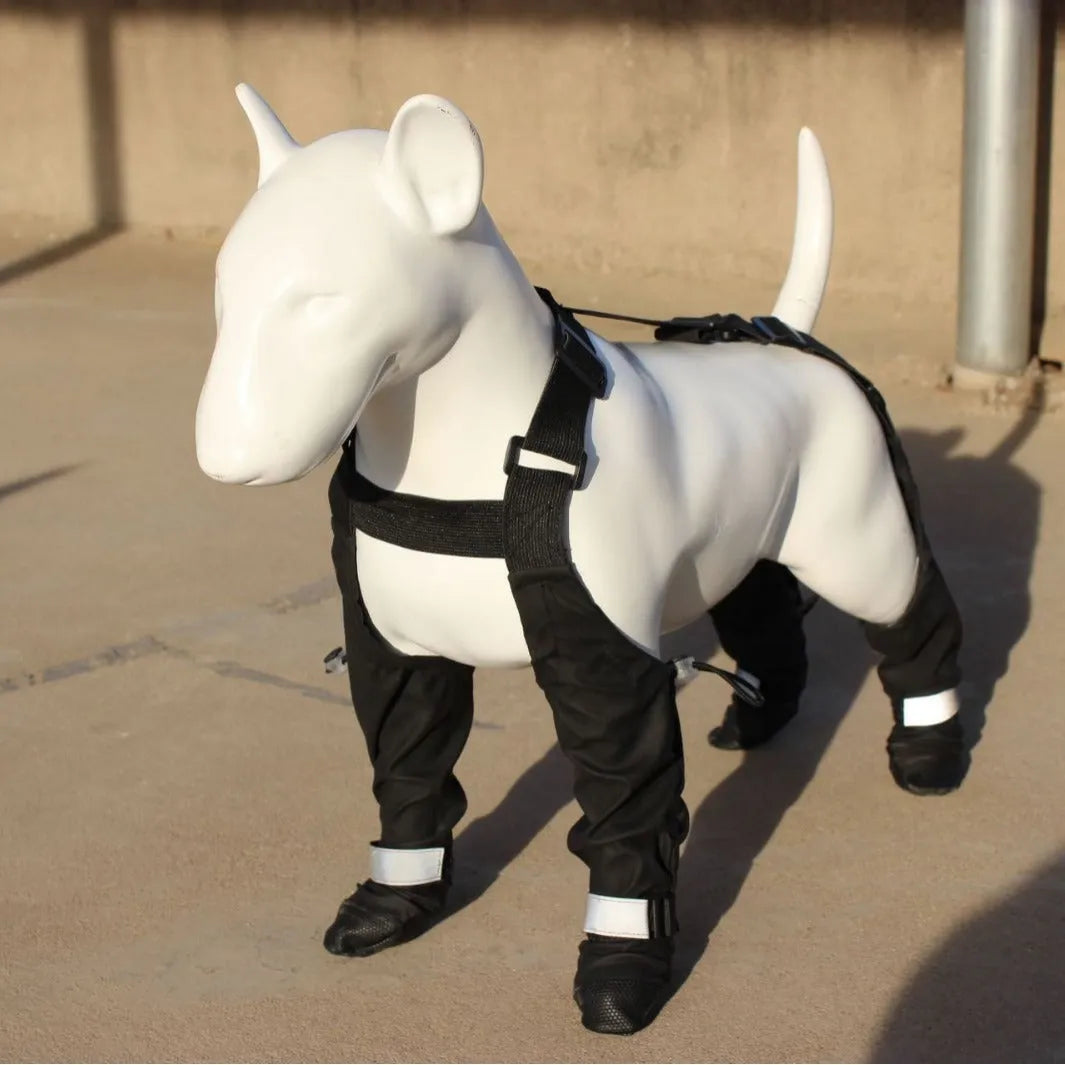 Black waterproof dog shoes with adjustable straps for paw protection