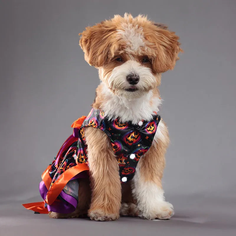Halloween dog skirt in colourful pumpkin design on small dog