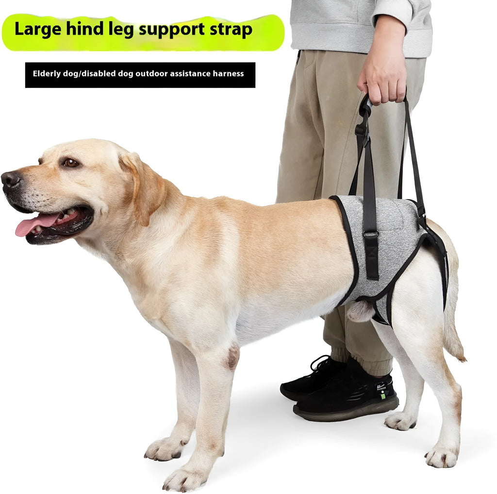 Grey neoprene dog hind leg recovery support belt with adjustable waist and thigh straps