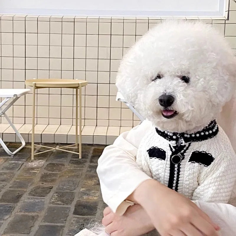 Korean style white puppy sweater with pearl collar for small dogs, size chart showing weight ranges