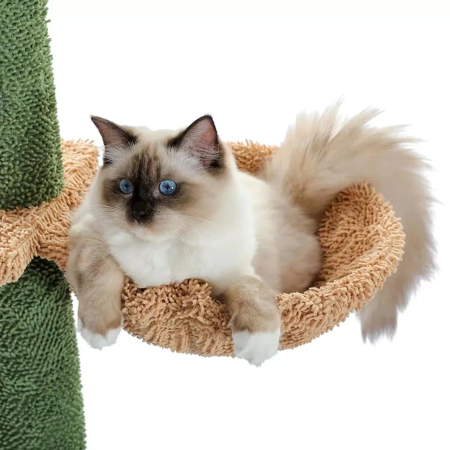 Tall solid wood cat climbing frame with integrated cat nest, platforms, and a scratch board.