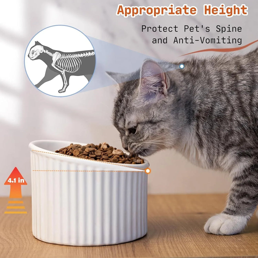 Ceramic elevated cat bowl in green colour, showing tilted design and raised feeding height.