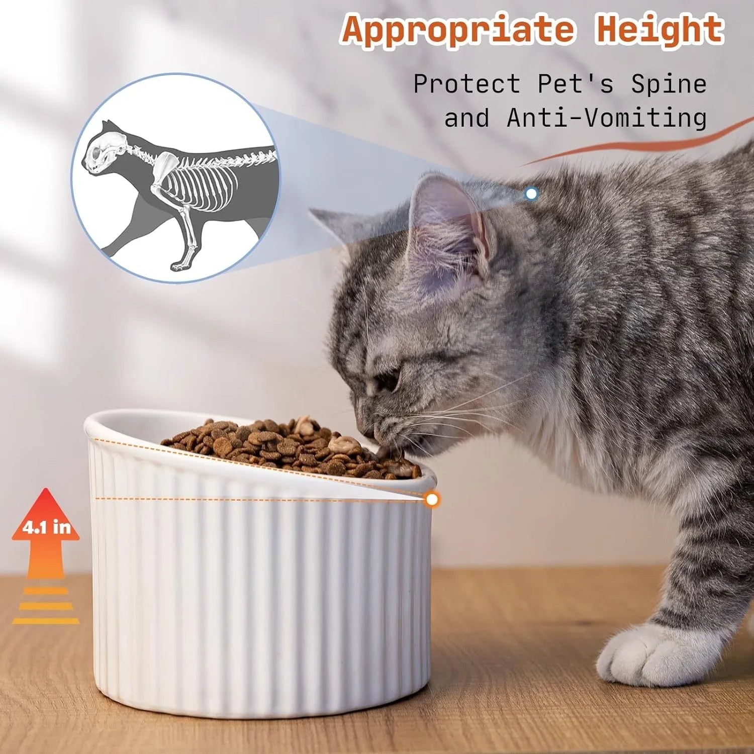 Ceramic elevated cat bowl in green colour, showing tilted design and raised feeding height.