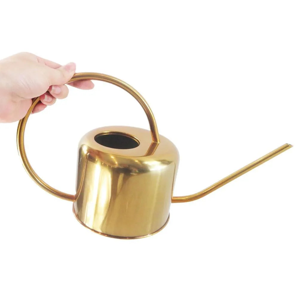 Stainless steel watering can with long spout, 2 litre capacity, shown in black finish