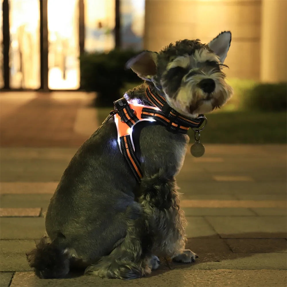 Glowing dog collar with LED lights, reflective strips, 1000D Oxford, waterproof, adjustable strap, black green orange