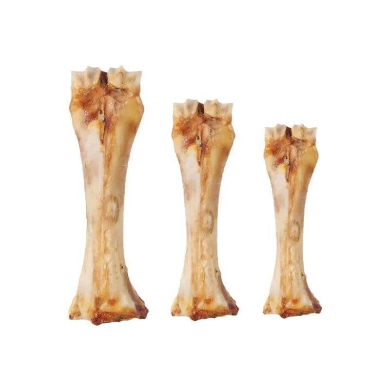 Pet molar rod chew for puppies in three sizes with high calcium and roasted ox bone flavour