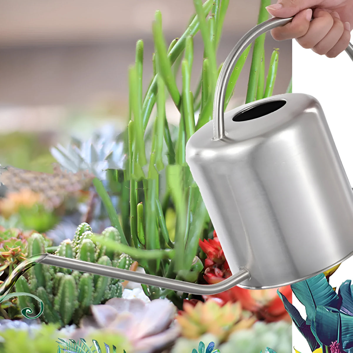 Stainless steel watering can with long spout, 2 litre capacity, shown in black finish