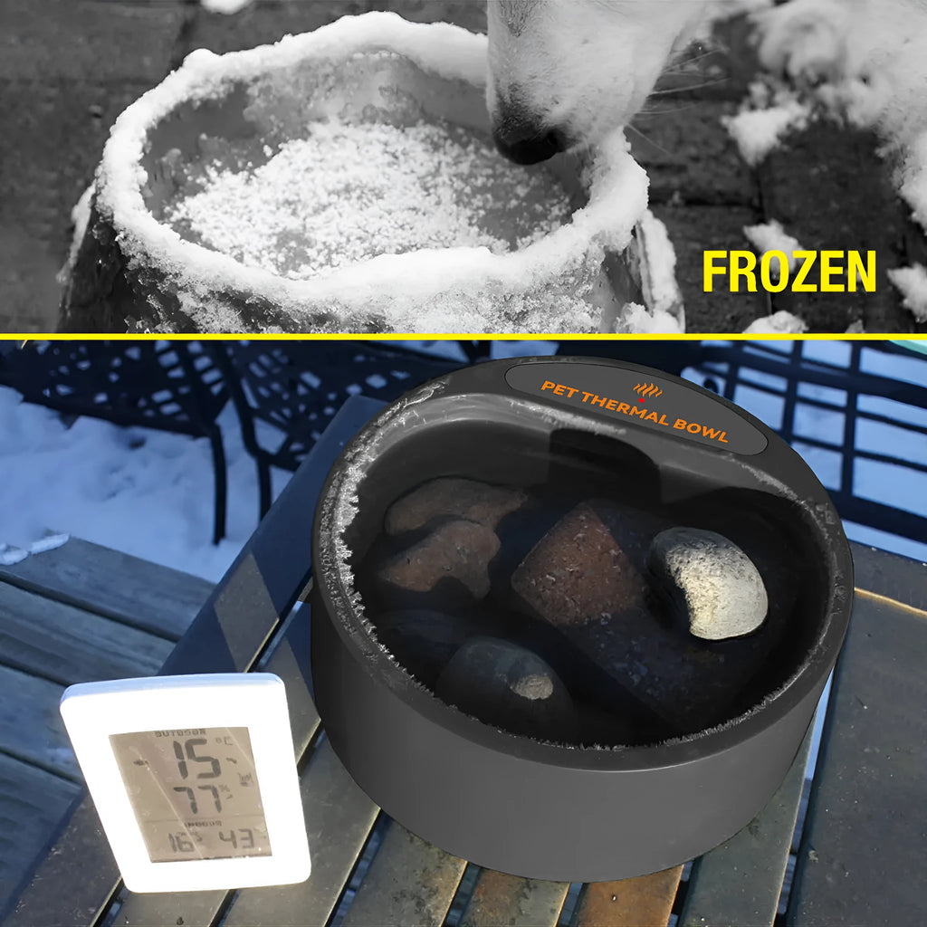 Black ABS plastic heated pet bowl with constant temperature control for cats and dogs