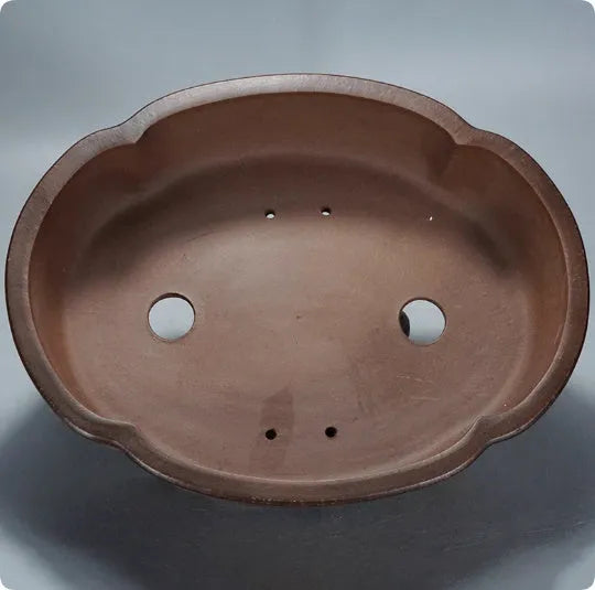 Classical purple clay flower pot for bonsai and green plants 50x39x16 cm dimensions