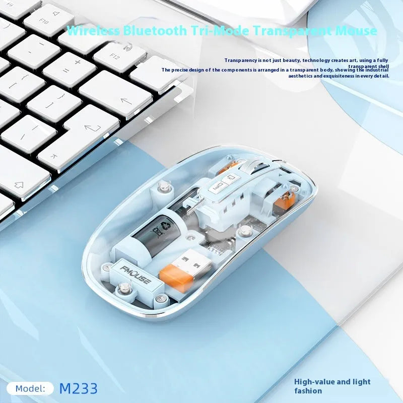 Transparent wireless computer mouse showing internal components with USB connector