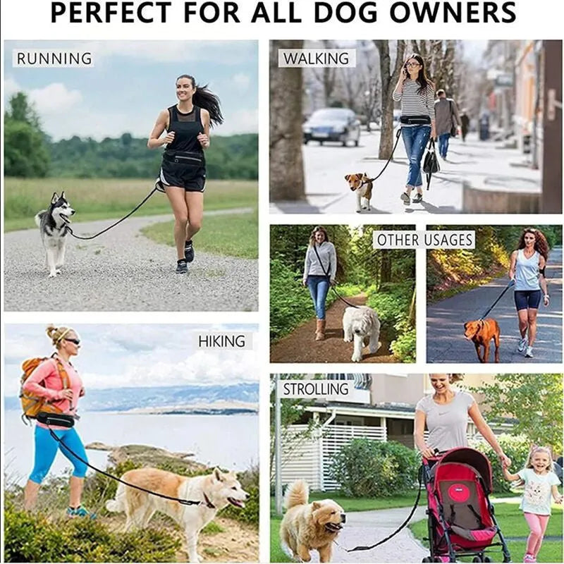 Nylon pet purse leash for dog walking with waist bag and traction rope, available in blue, black, red, orange and yellow.