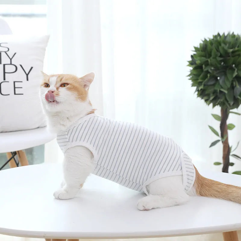 Blue and white cotton pet care suit with S M L XL sizes and bust neck back length measurements