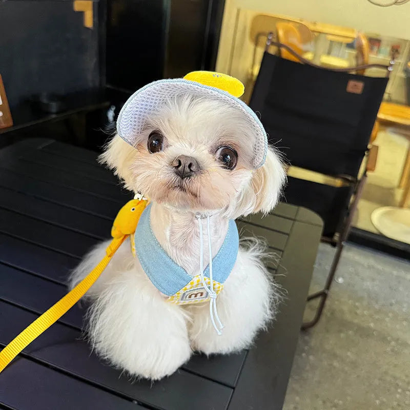 Three-piece pet harness set with colourful hat and wire rope leash for cats and small dogs
