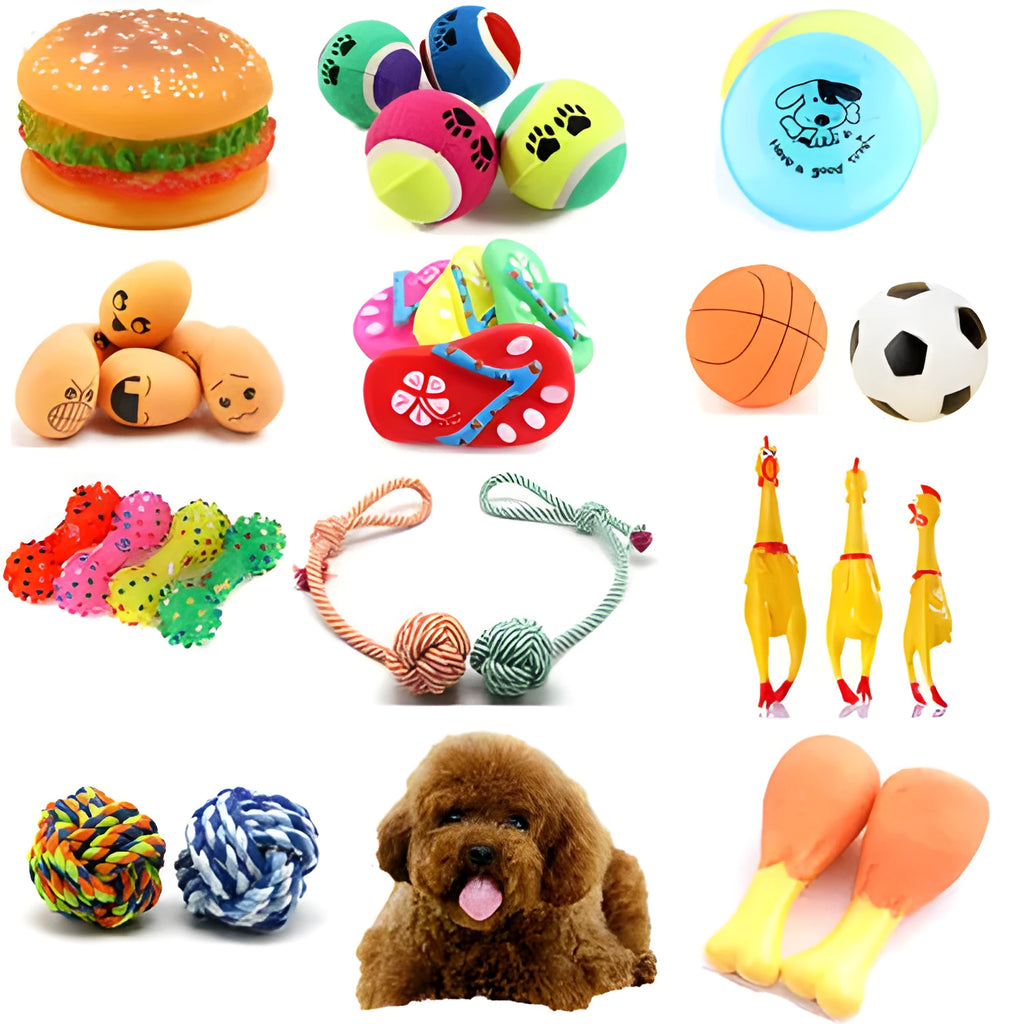 Vinyl pet toy ball for dogs and cats in five designs including dog face, drumsticks, hamburger and thunderball