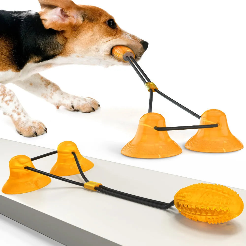 Multifunction dog molar bite toy with double suction cups and tug rope in food-grade TPR rubber