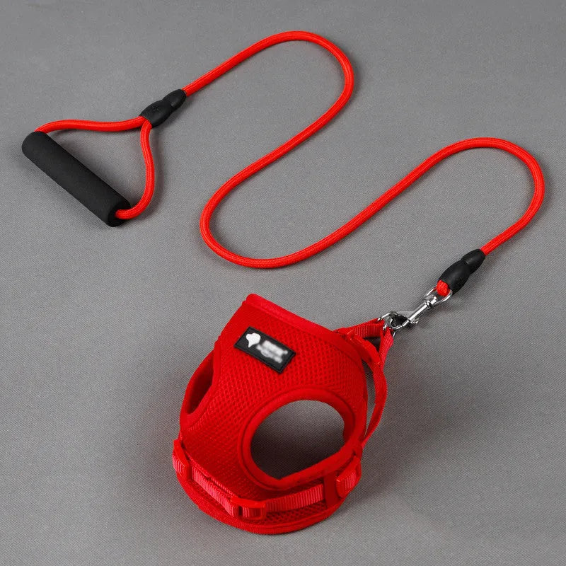 Blue dog leash with foam handle and mesh collar next to a 120cm towing rope
