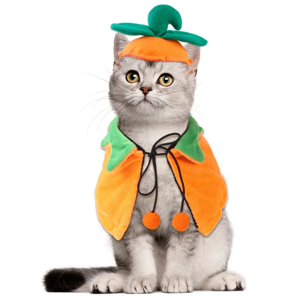 Halloween pet cloak with double-sided pumpkin design on plush material for dogs and cats