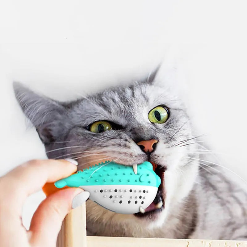 Mint Toys silicone fish-shaped cat chew toy in four colour options on white background