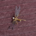 Golden dragonfly side clip headdress hair accessory with electroplated alloy construction