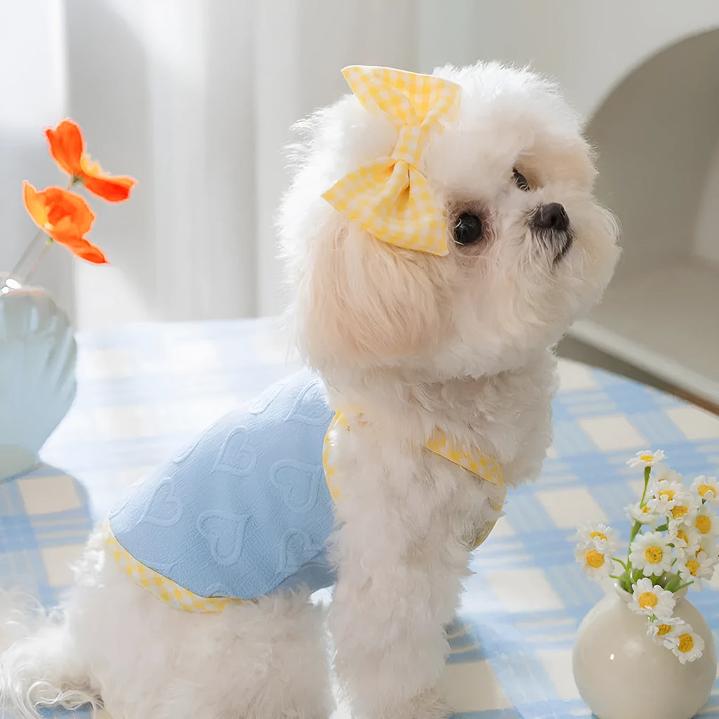 Small dog wearing heart relief texture bow suspenders vest in blue with matching hairband