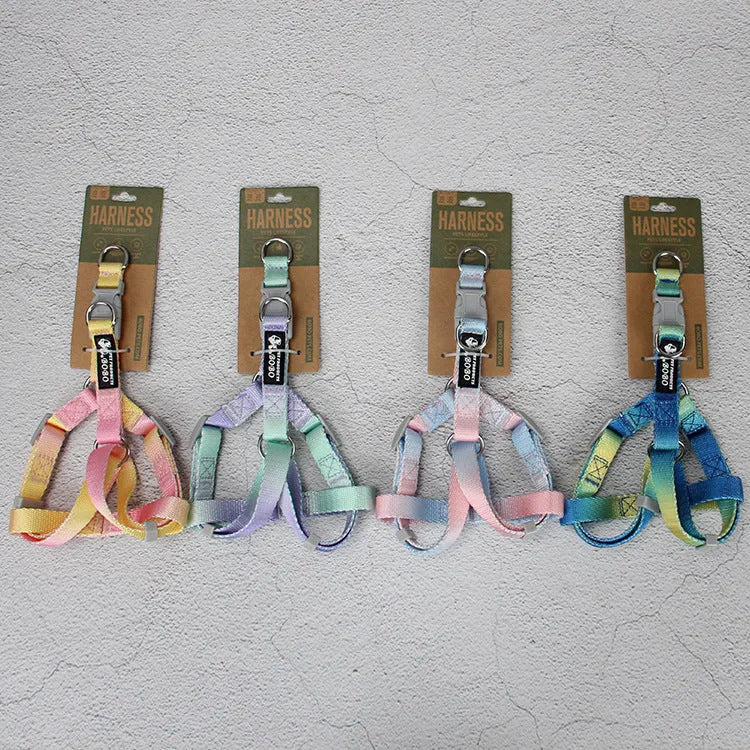 Nylon dog leash and collar set showing gradient colour pattern in pink and blue