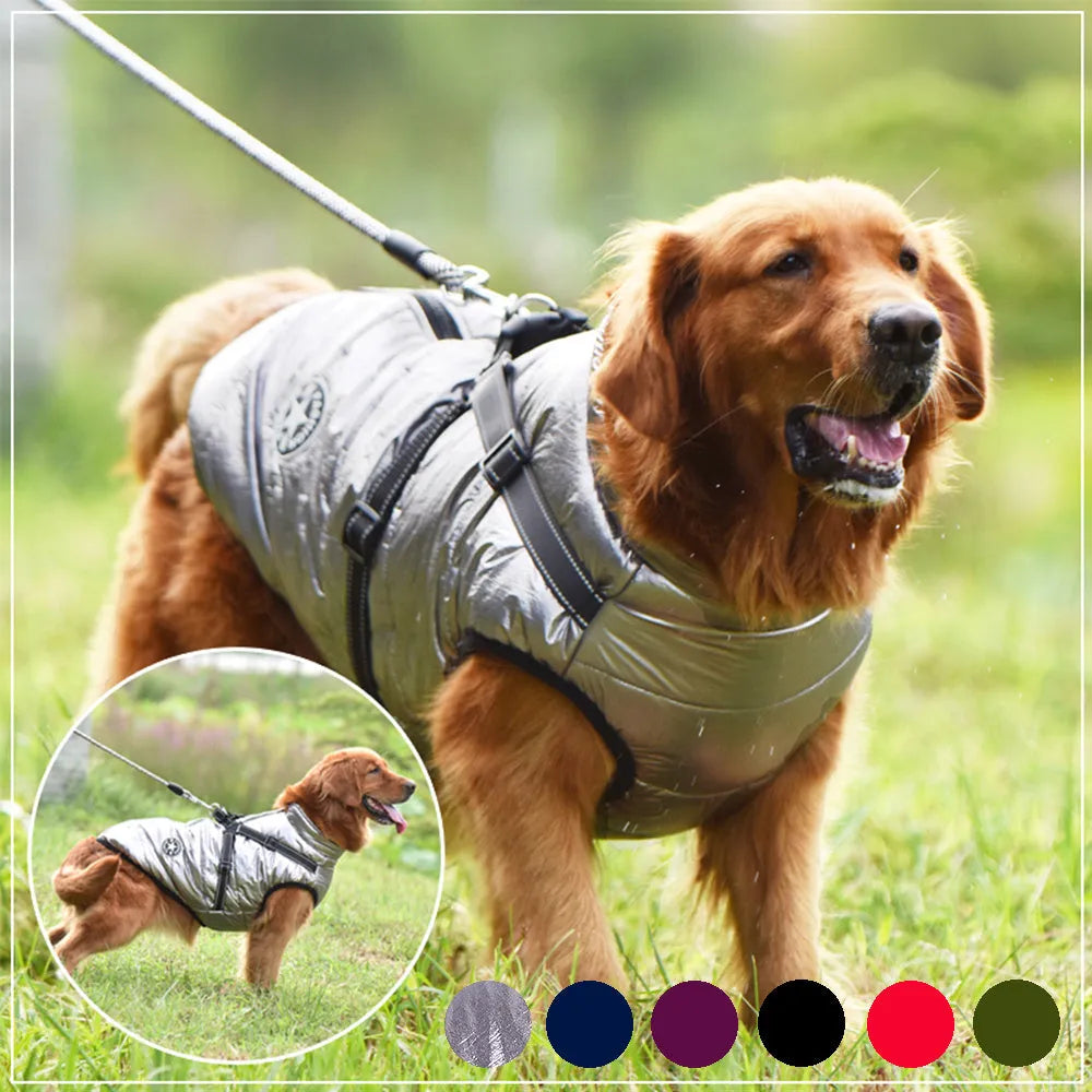 Waterproof dog coat in red with harness opening, sized for Labrador breed during winter walk.