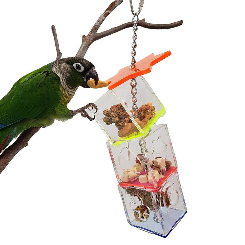 Clear acrylic parrot foraging toy measuring 5cm by 5cm by 32cm with bird treats visible inside