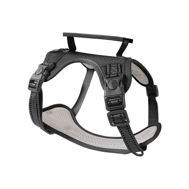Adjustable dog harness and lead set in various colours with chest strap design