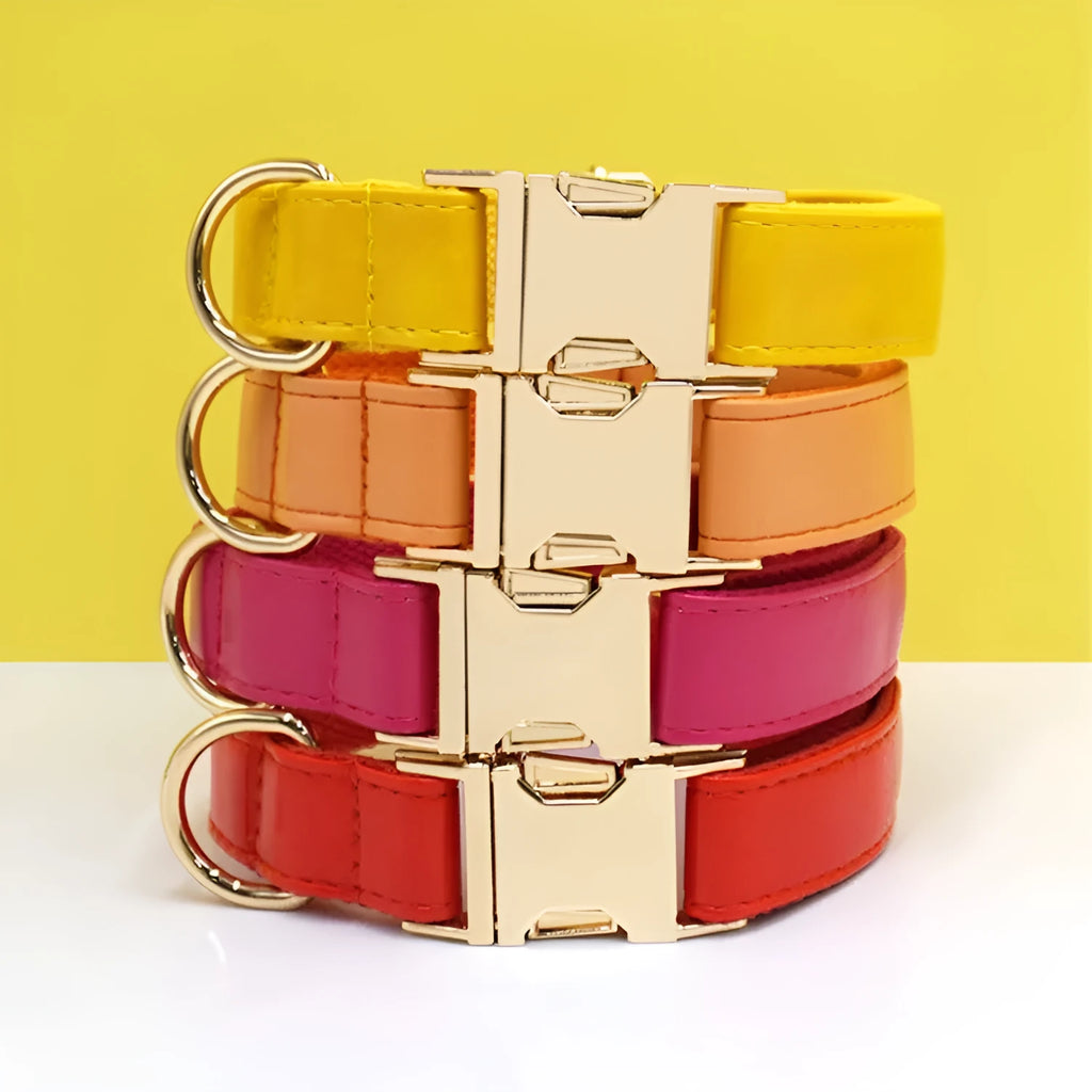 Colour-block leather dog collar with velvet trim shown in caramel colour