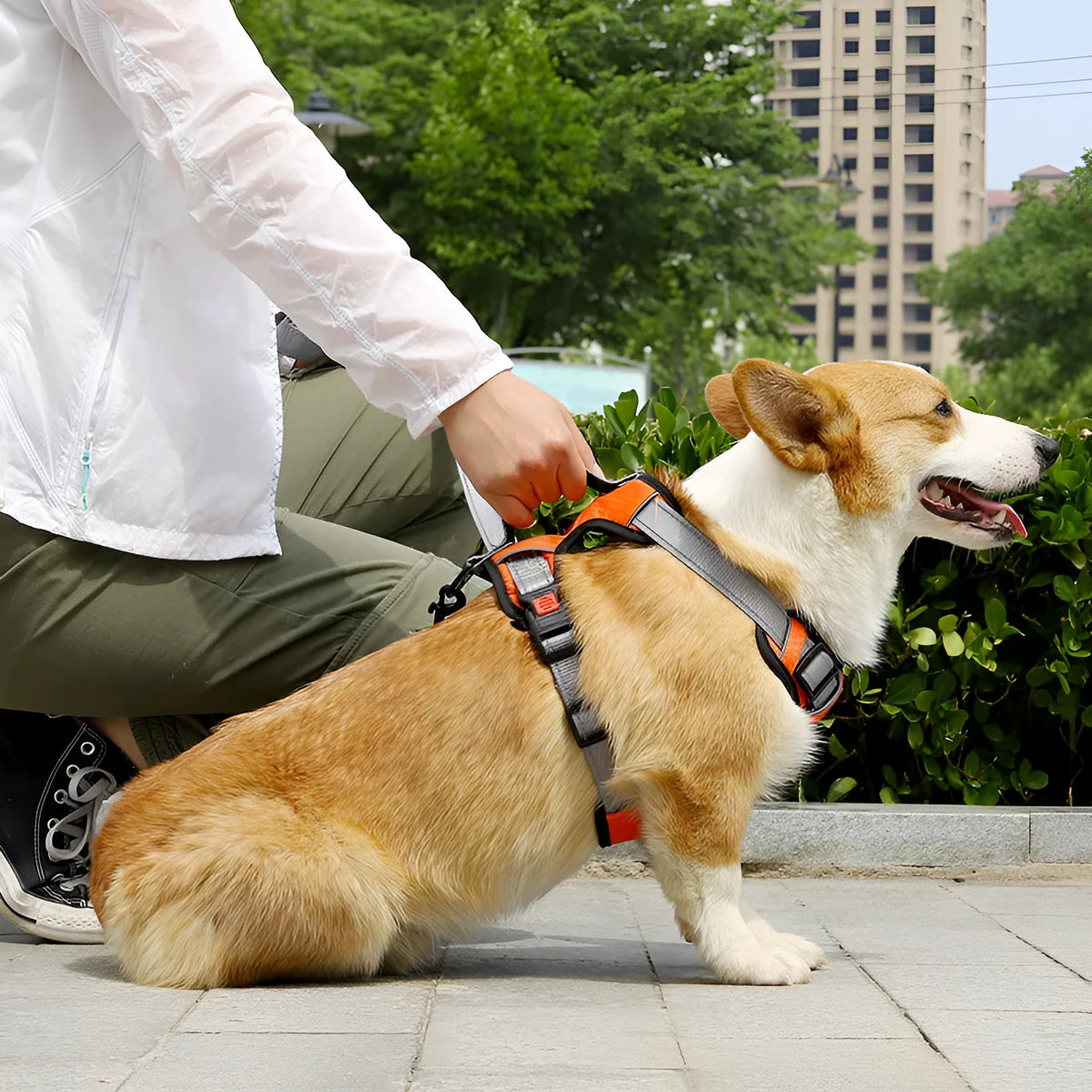 Adjustable polyester dog harness with chest and back straps in multiple colour options
