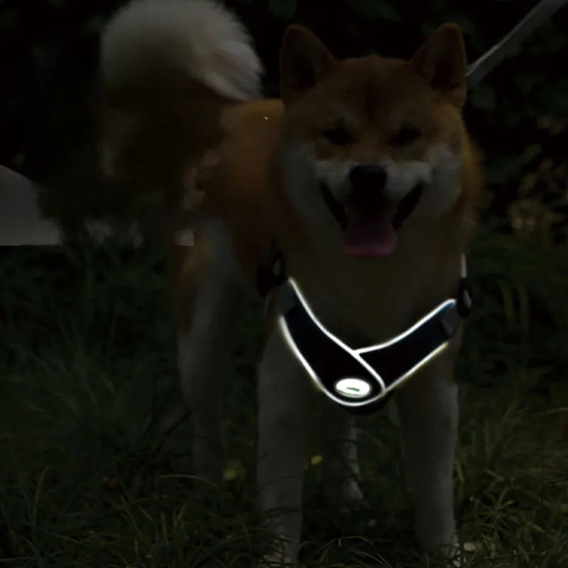 Adjustable dog harness in breathable mesh with reflective chest strap and metal control ring