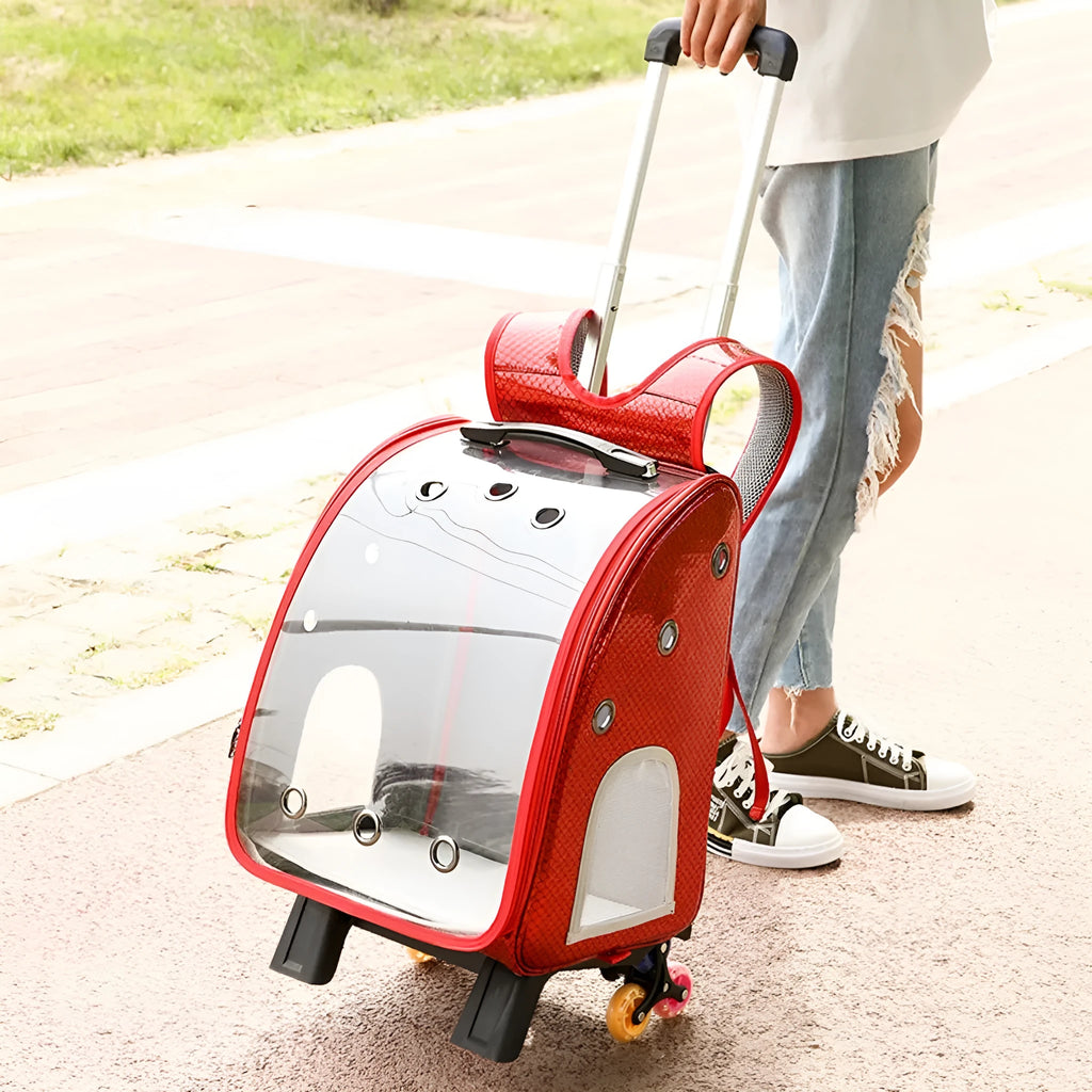 Transparent folding pet trolley bag with Oxford cloth construction in blue colour