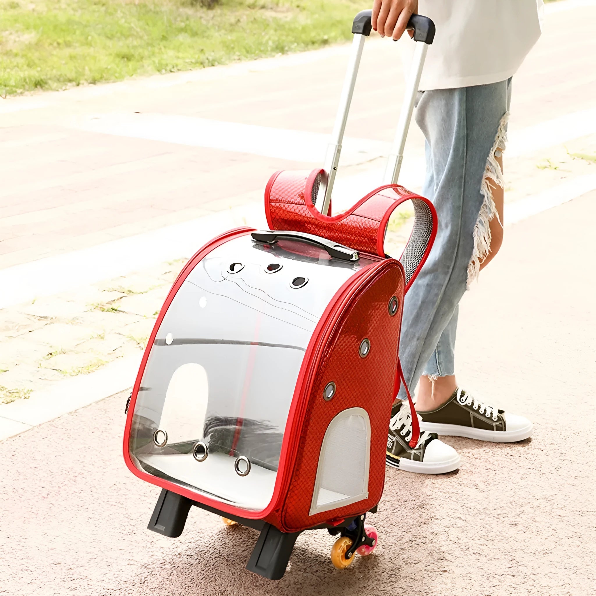 Transparent folding pet trolley bag with Oxford cloth construction in blue colour