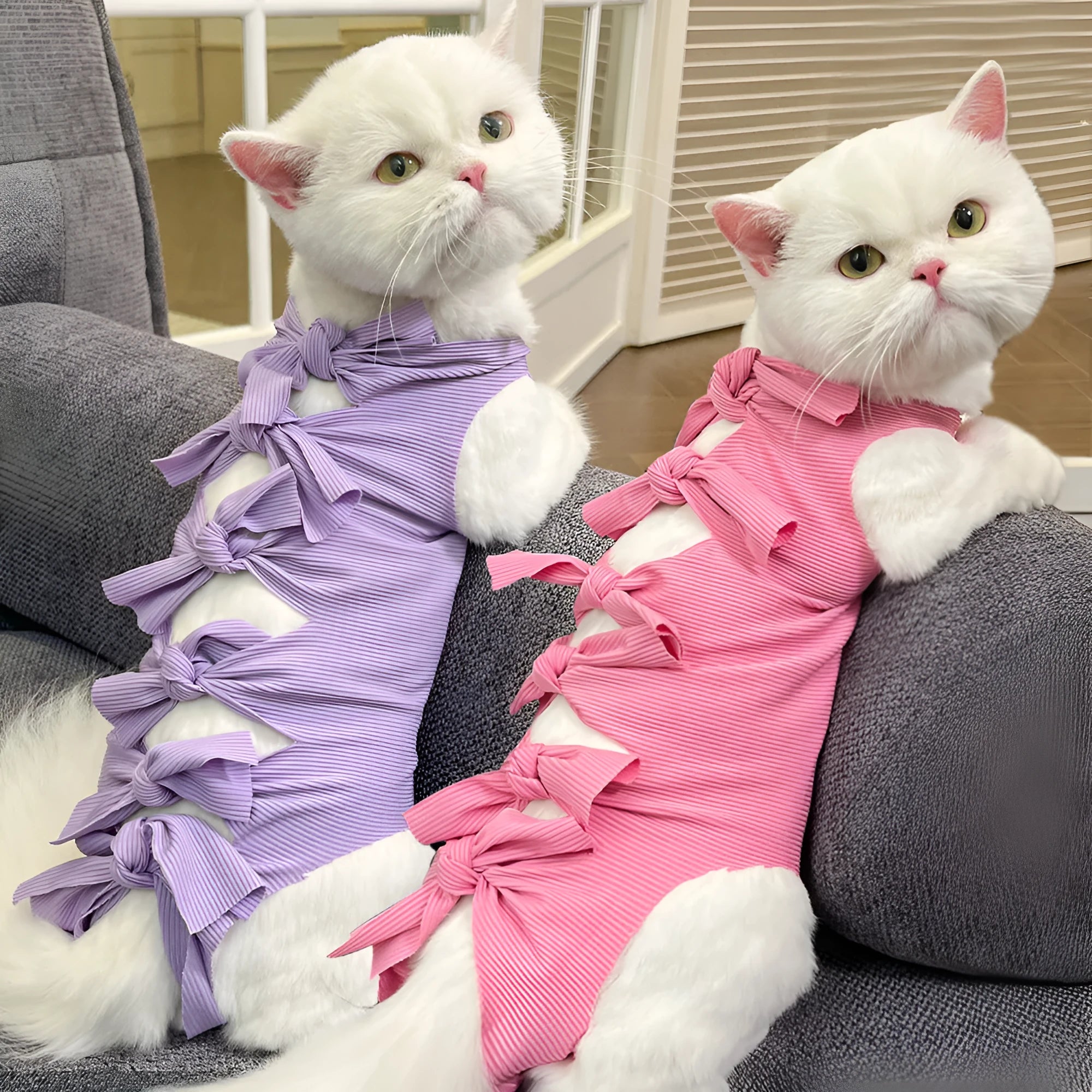Lace-up cat sterilisation recovery garment in blue, showing adjustable ties and full torso coverage.