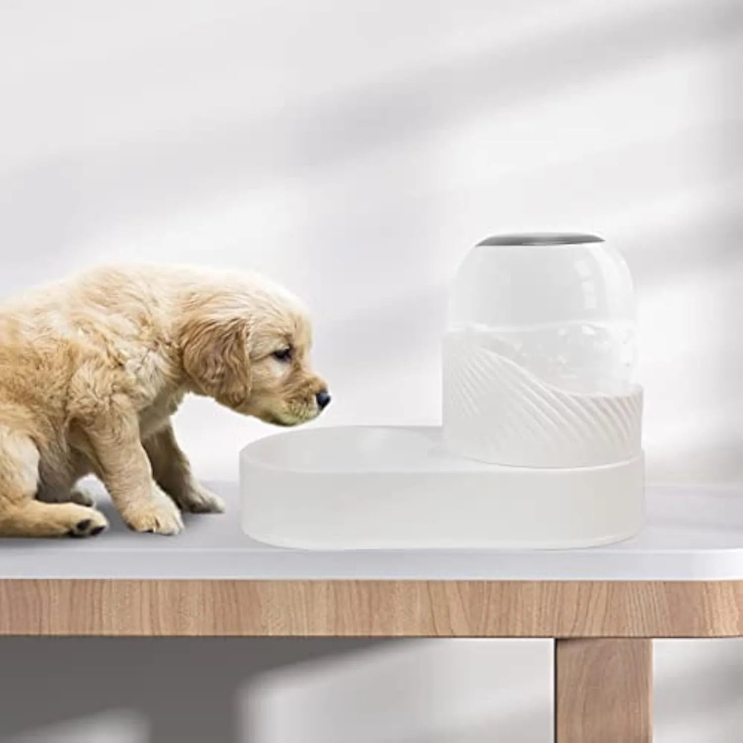 Pure white automatic cat feeder and water dispenser set with wave-shaped design.