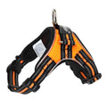 Glowing dog collar with LED lights, reflective strips, 1000D Oxford, waterproof, adjustable strap, black green orange