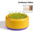 Hydroponic cat grass kit with planting cup and seed packs in blue, green, or yellow colours