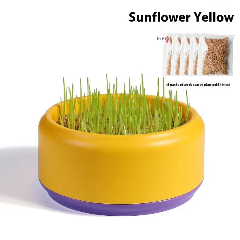 Hydroponic cat grass kit with planting cup and seed packs in blue, green, or yellow colours