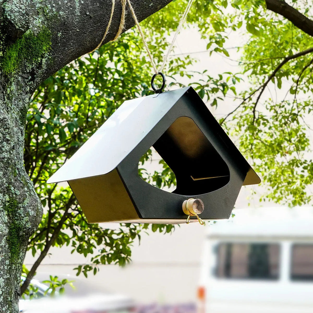 Simple European-style iron bird house for outdoor garden decoration in green or brown colours