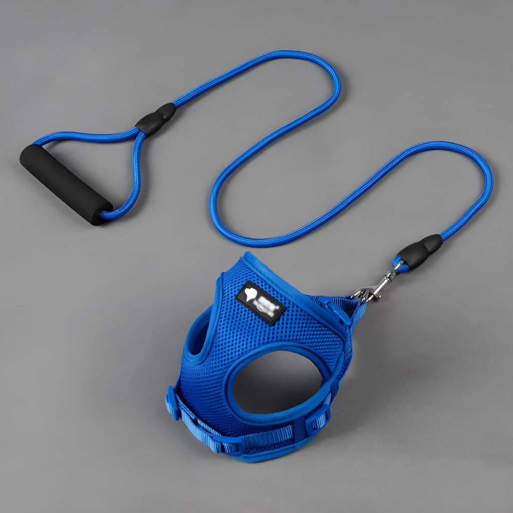 Blue dog leash with foam handle and mesh collar next to a 120cm towing rope
