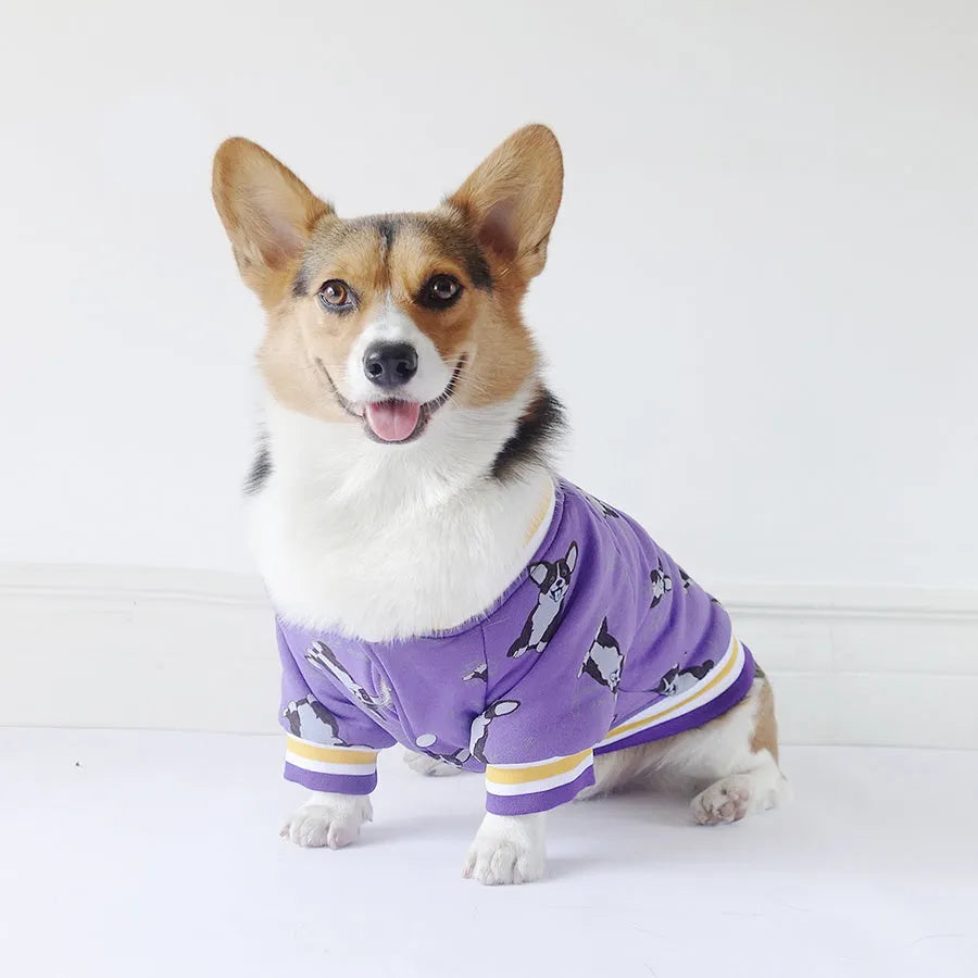 Cotton dog winter jumper in purple and navy blue, sizes XS to XXL for 2-25 kg dogs