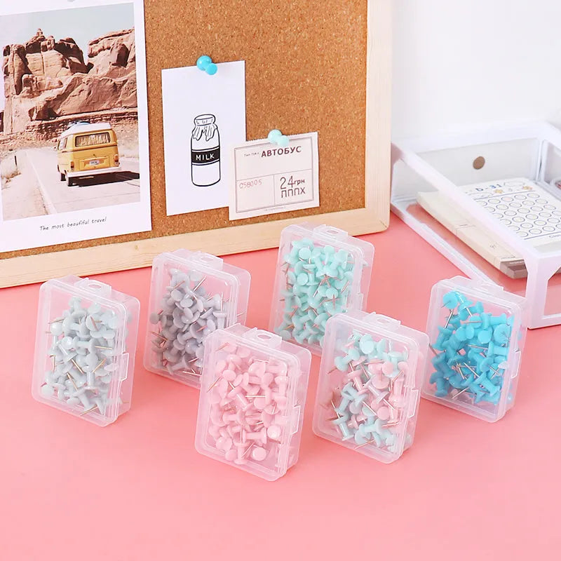 Creative Morandi colour push pins in 50-piece bulk pack for cork boards and noticeboards