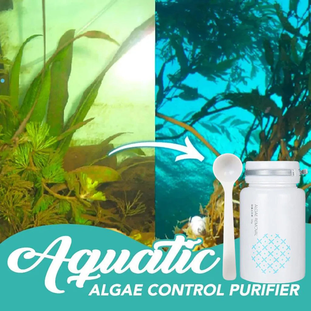 50g swimming pool algaecide container for algae removal and water purification treatment