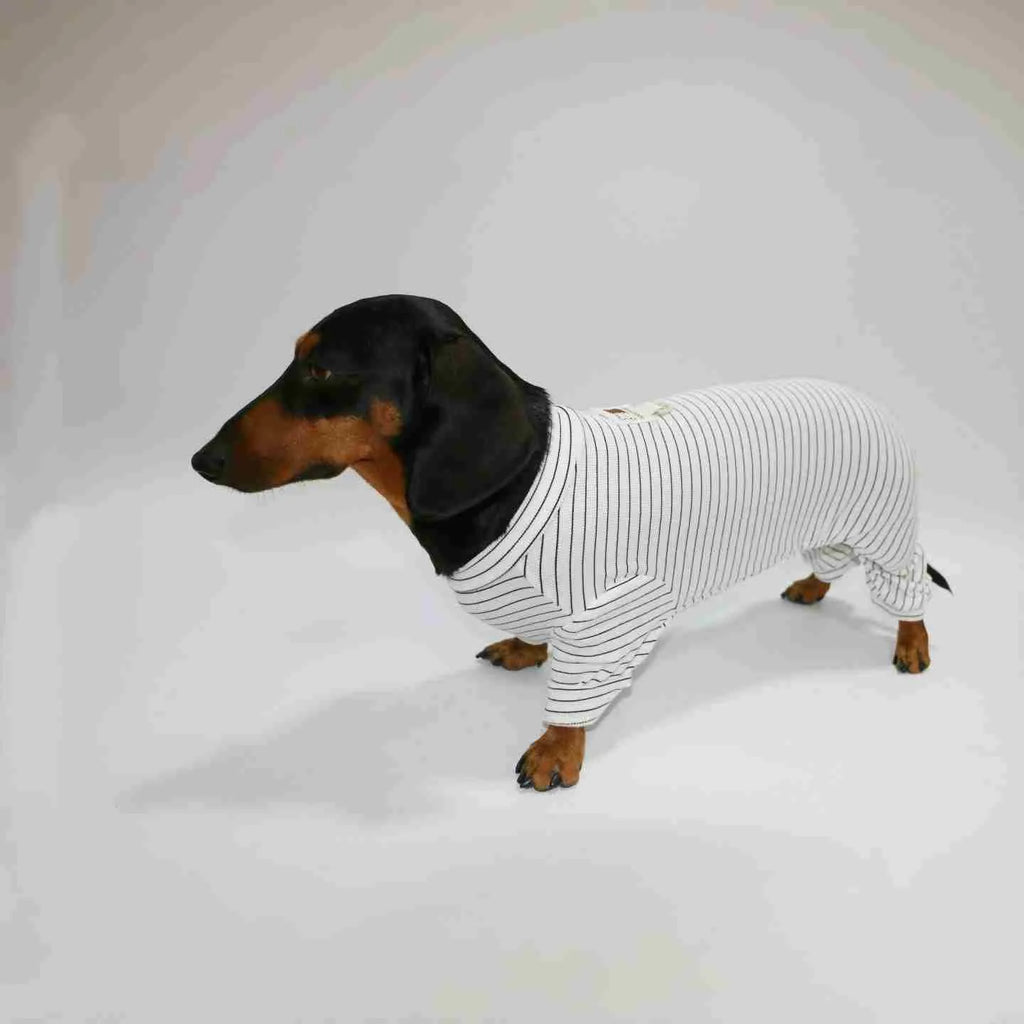 Thin striped four-legged pet clothes for dogs and cats, S to 2XL, black white or navy blue