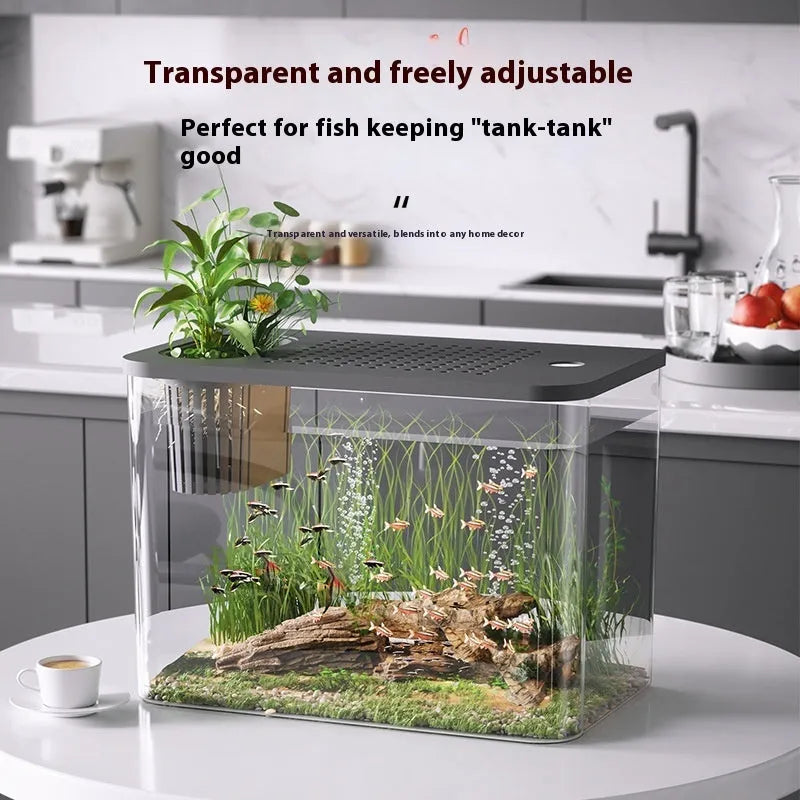 Medium black plastic betta fish tank with a cover on a wooden surface.