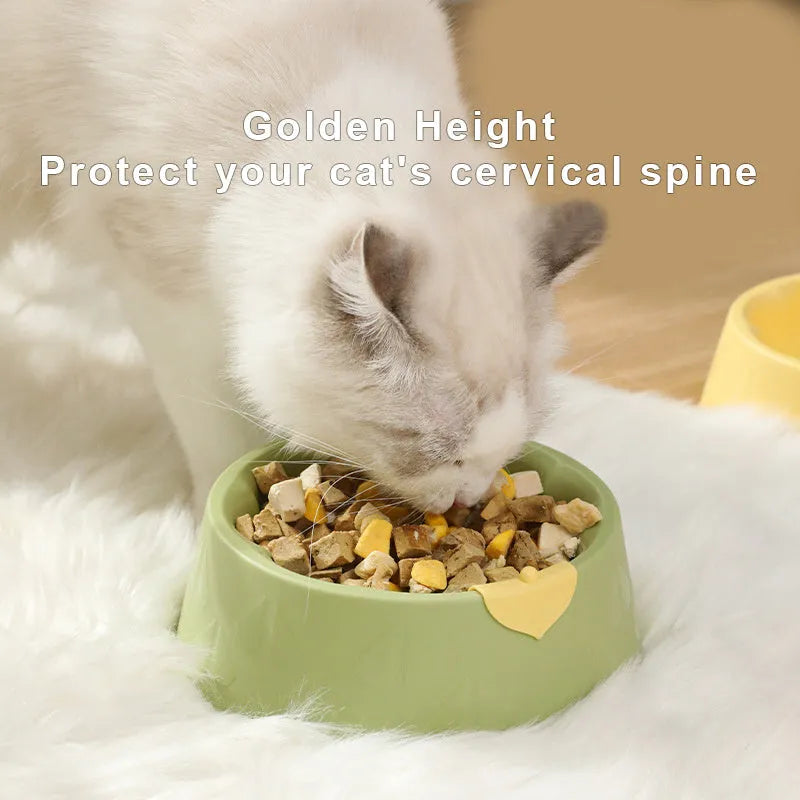 Double plastic pet bowl in flower shape with anti-tipping design for food and water