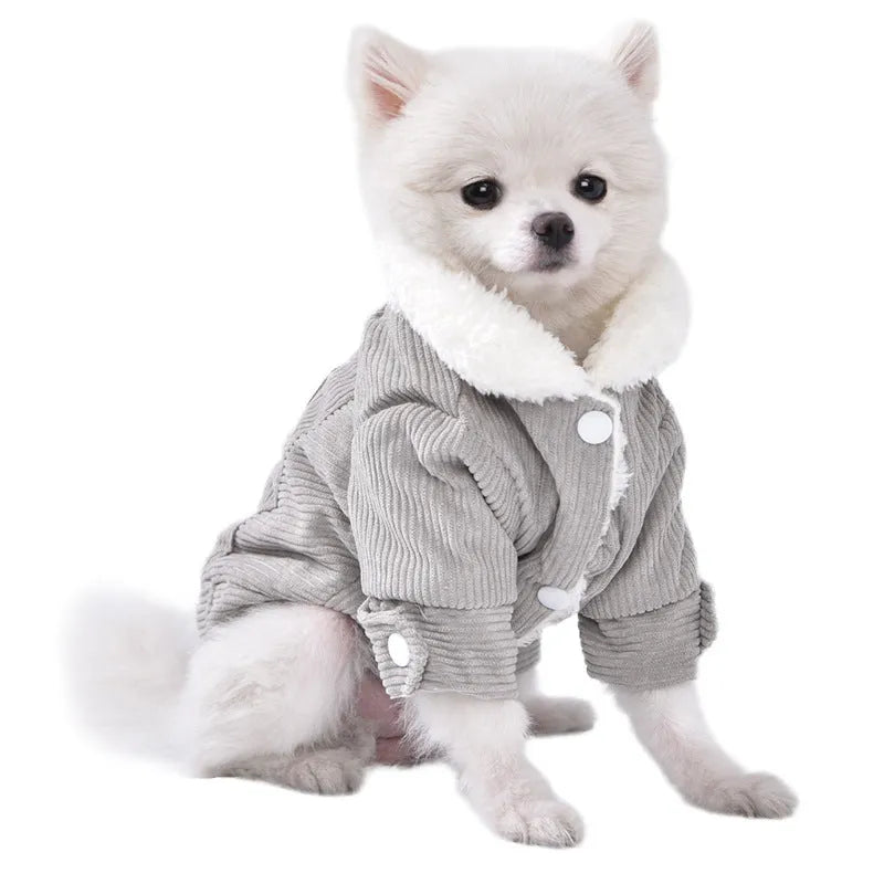Lambswool grey dog vest with wool lining for autumn and winter warmth
