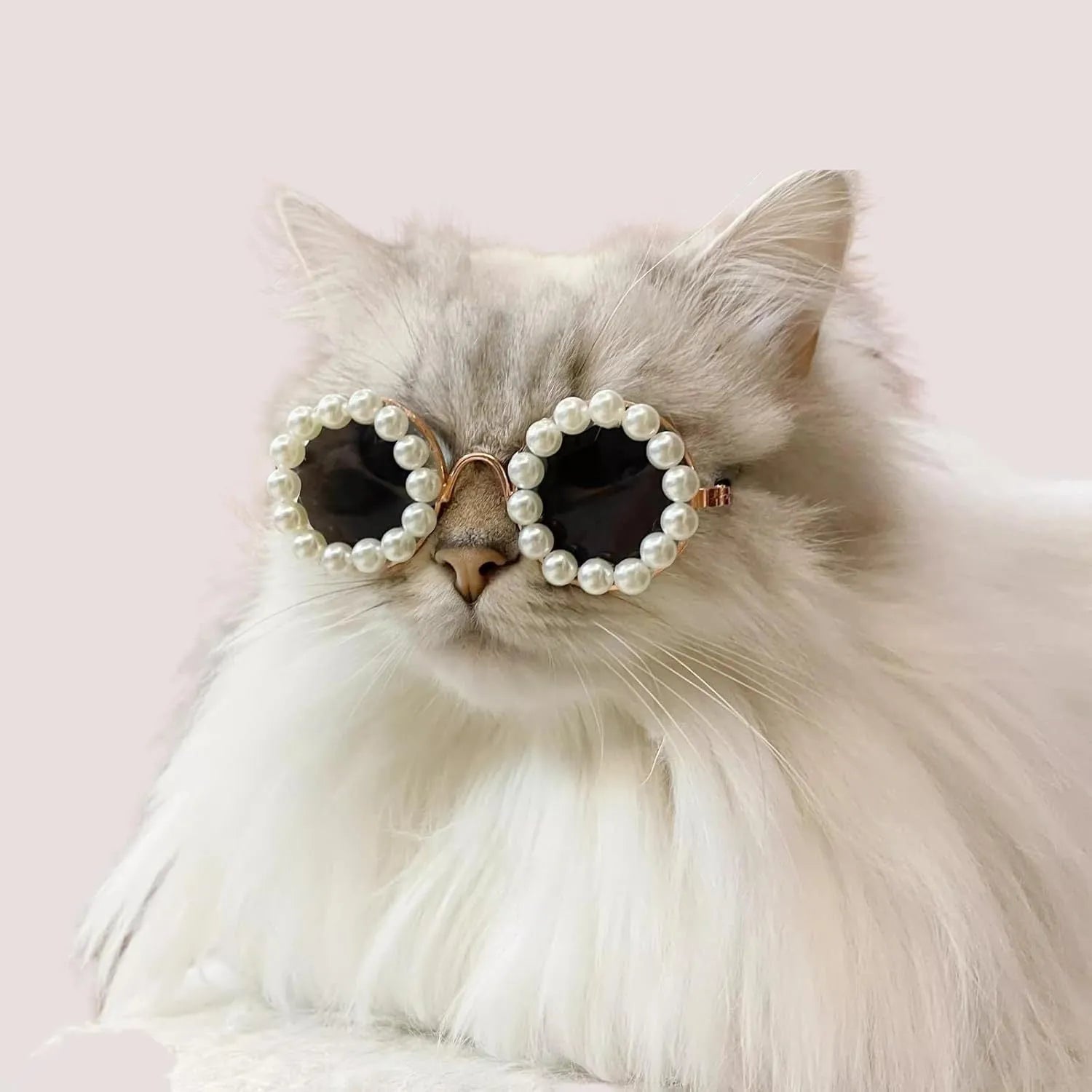 Pearl-rimmed round sunglasses for cats and dogs in multiple colours as costume accessories